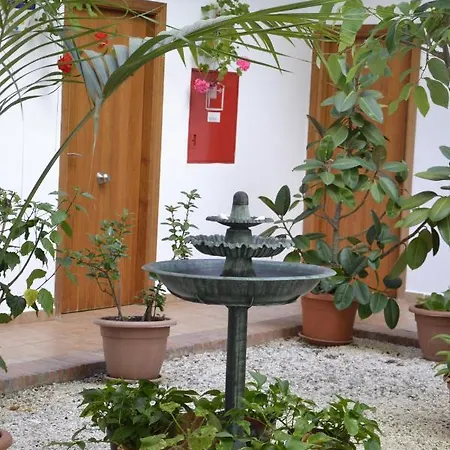 Oasis Atalaya