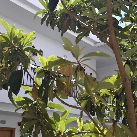 Oasis Atalaya Отель Кониль-де-ла-Фронтера