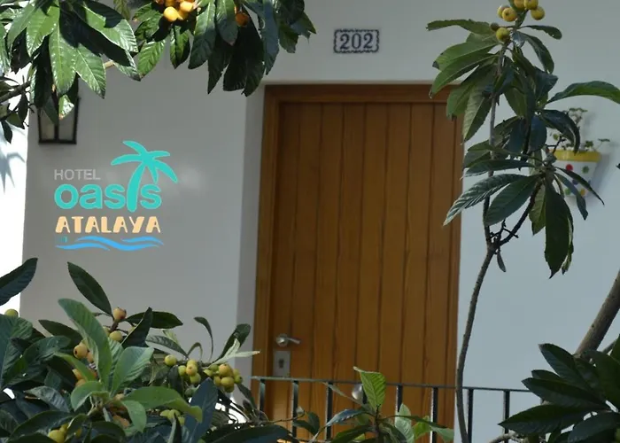 Oasis Atalaya